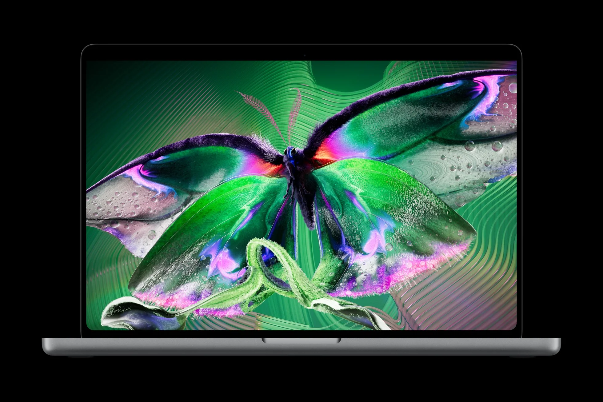 MacBook Pro เปิดหน้าจอ PROLED XDR แสดงภาพผีเสื้อสีเขียวและม่วง