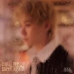 UNTIL WE MEET AGAIN — Jackie Jackrin