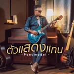 ตัวแสดงแทน — Peet Model