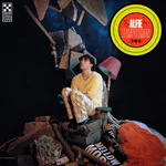 3D Feelings — Alfie Templeman