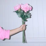 i really like you — Jadu Jadu & Sarah Hemi