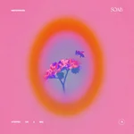 Stepped on a Bee — MisterWives