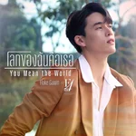 โลกของฉันคือเธอ (You Mean the World) [เพลงประกอบซีรีส์ "F4 Thailand : หัวใจรักสี่ดวงดาว BOYS OVER FLOWERS"] — ฟลุ๊ค กวิน