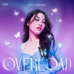 ล้น (Overload) — PAM ANSHISA
