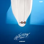 ผ้าคลุมล่องหน (Invisibility Cloak) — BABEPOOM