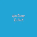 Kab Rod Len - Anatomy Rabbit