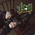 ประตู (feat. Kakagoesbackhome) — ZENTYARB