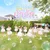 หน้าร้อนก็น่ารัก — The Glass Girls