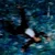 OVERHOPED — SVRN