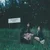 รักอยู่ (linger) — LANDOKMAI