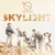 SKYLIGHT — Skylize