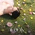 ถ้าเธอรู้ว่าฉันเหงา (if only) — FANG