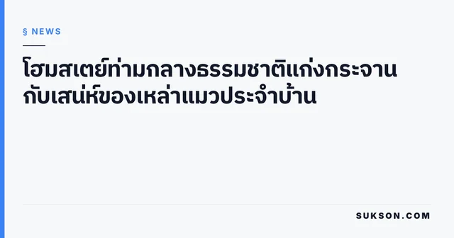โฮมสเตย์ท่ามกลางธรรมชาติแก่งกระจาน กับเสน่ห์ของเหล่าแมวประจำบ้าน