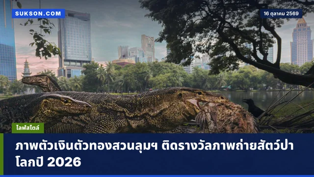 ภาพตัวเงินตัวทองสวนลุมฯ ติดรางวัลภาพถ่ายสัตว์ป่าโลกปี 2026