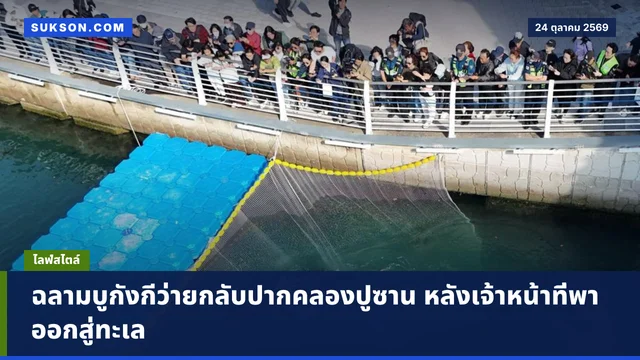 ฉลามบูกังกีว่ายกลับปากคลองปูซาน หลังเจ้าหน้าที่พาออกสู่ทะเล